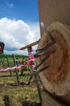 метание ножей, ,Несколько фотографий, рассказывающих про деятельность клуба по метанию ножей в Молдове 