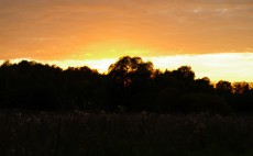 метание ножей, ,September 19, 2015 in the village of Sapegino (Moscow region, Volokolamsk district) held a friendly tournament of a throwing various objects. The program of events included throwing a knife, an ax and a shovel 3 + 4 + 5 meters, no-spin throwing 4 meters, throwing unusual objects - the giant nails, plates and unusual knives, exercise 