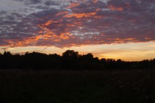 метание ножей, ,September 19, 2015 in the village of Sapegino (Moscow region, Volokolamsk district) held a friendly tournament of a throwing various objects. The program of events included throwing a knife, an ax and a shovel 3 + 4 + 5 meters, no-spin throwing 4 meters, throwing unusual objects - the giant nails, plates and unusual knives, exercise 