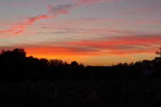 метание ножей, ,September 19, 2015 in the village of Sapegino (Moscow region, Volokolamsk district) held a friendly tournament of a throwing various objects. The program of events included throwing a knife, an ax and a shovel 3 + 4 + 5 meters, no-spin throwing 4 meters, throwing unusual objects - the giant nails, plates and unusual knives, exercise 
