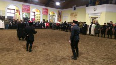 метание ножей, ,Festival of Cossack military art 