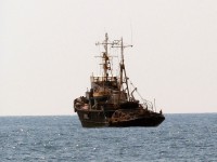 метание ножей, ,Фотографии с Чемпионата России, проходившего под Новороссийском 15-21 июля 2013 года 