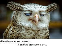 метание ножей, ,Попытаюсь в одном месте собрать все забавные картинки на тему метания ножей 